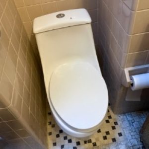 Bathroom Subfloor Repair and Toilet Installation in Philadelphia